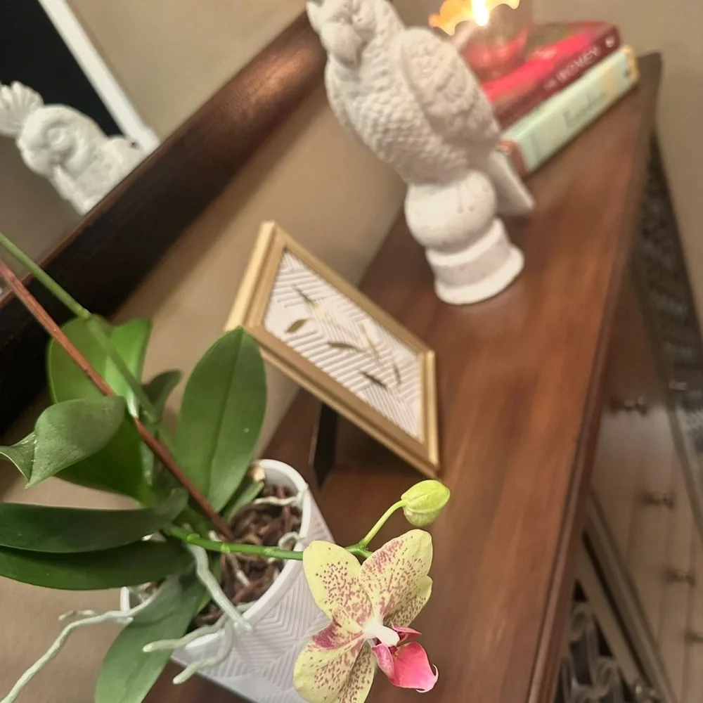 Elegant White Parrot Statue